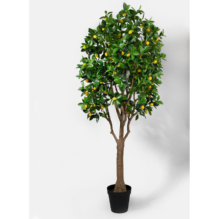 Primrue 90'' Faux Lemon Tree in Pot Wayfair
